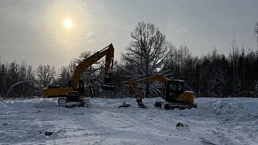 Комитет Госдумы выступил против вырубки леса под дорожки и беседки