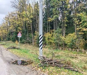 Жители Истры вновь просят навести порядок в лесополосе вдоль Волоколамского шоссе
