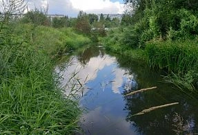 Песня, которая вошла в книгу рекордов Гиннеса, начиналась в Снегирях 