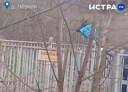 Мусор через забор: сотрудники «Мособлгаза» проявили изобретательность на субботнике