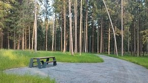 Власти Истры намерены продолжить масштабное благоустройство леса у деревень Лечищево и Бужарово