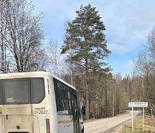 До Дедовской школы-интерната для детей с ОВЗ невозможно безопасно добраться на общественном транспорте