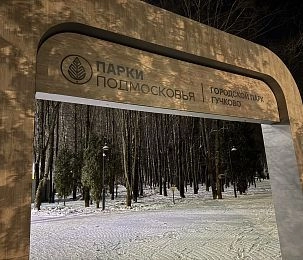 Парки округа закрыли из-за снегопада