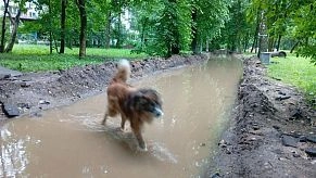 Замминистра, посетившего Истру, не пригласили на «водную прогулку» по тротуарам