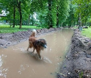 Замминистра, посетившего Истру, не пригласили на «водную прогулку» по тротуарам
